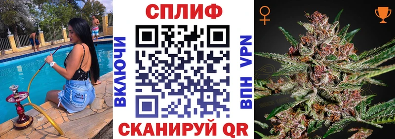 Шишки марихуана план  Славск 
